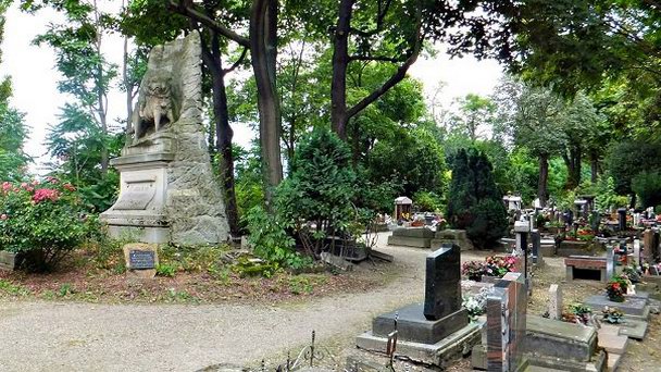 Кладбище собак в Париже