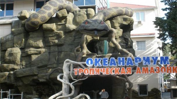Океанариум Тропическая амазонка в Краснодарском крае Океанариум Тропическая амазонка в Краснодарском крае