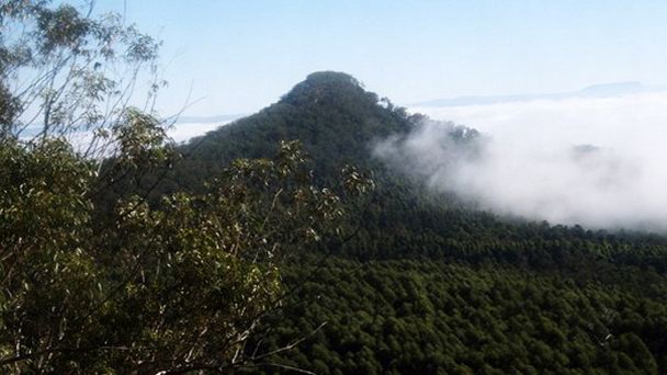 Гора Пикапен в Новом Южном Уэльсе
