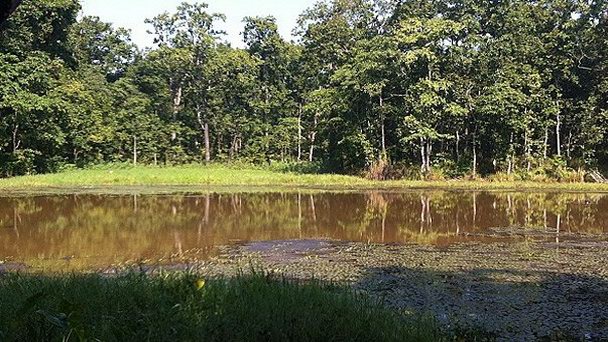 Озеро Твенти-Саузенд-Лейк в Читване