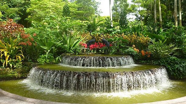 Сад орхидей на Бали