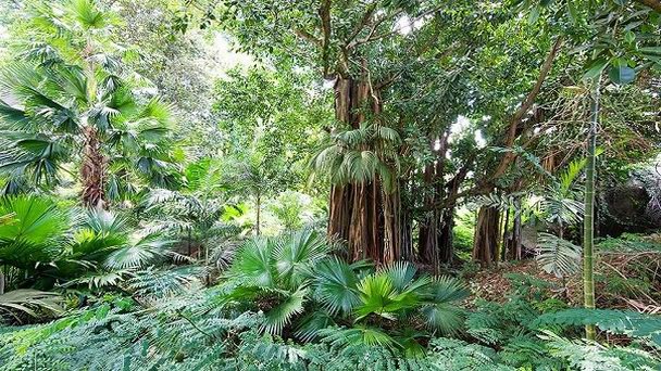 Ботанический сад Мон Флери в Виктории Ботанический сад Мон Флери в Виктории