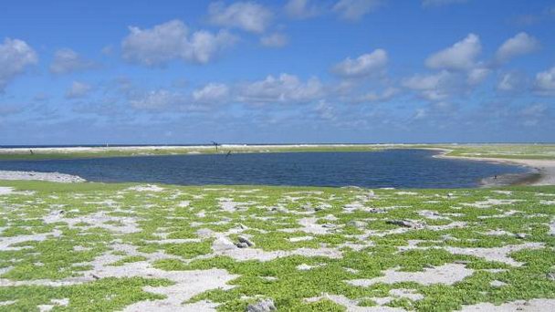 Атолл Бирни на о-вах Феникс Атолл Бирни на о-вах Феникс