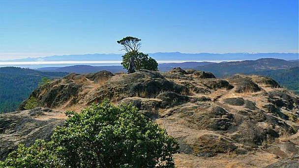 Парк Лоун Три Хил в Британской Колумбии