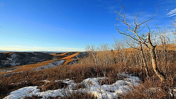 Провинциальный парк Glenbow Ranch в Альберте