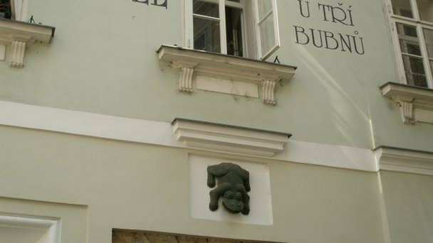 Дом У зеленой жабы в Праге