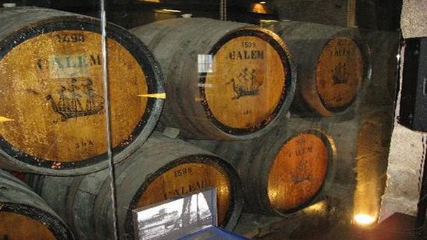 Музей портвейна «Porto Calem» в Порту