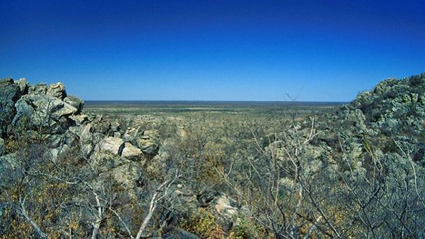 Холмы Цодило в Заповеднике Сентрал-Калахари Холмы Цодило в Заповеднике Сентрал-Калахари