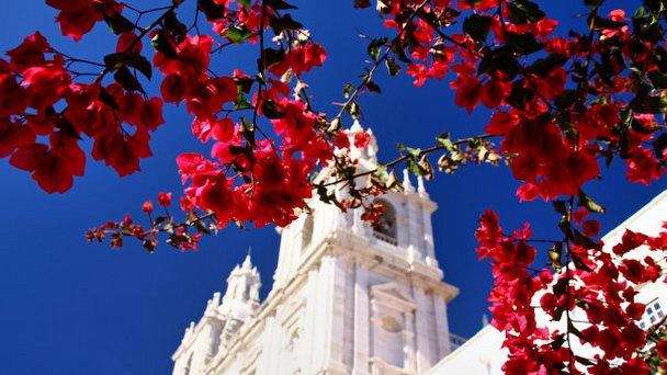 Церковь Св. Висенти-ди-Фора в Лиссабоне