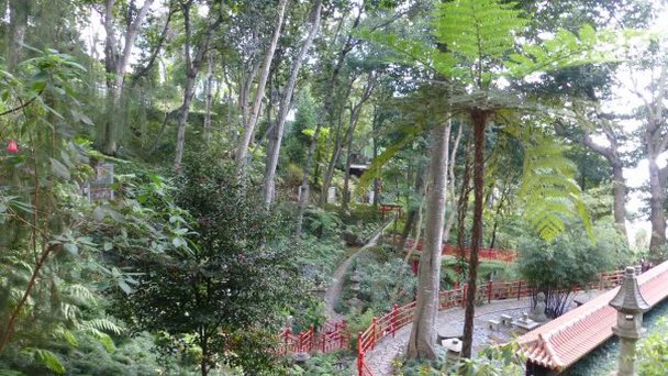 Тропический сад дворца Монте на Мадейре