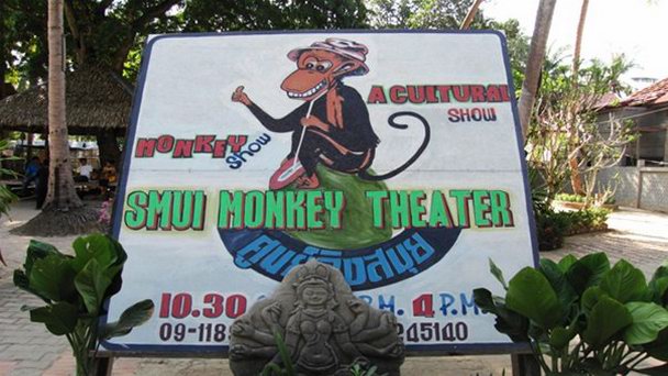 Театр обезьянок в Самуи
