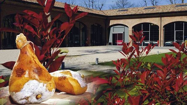 Музей Прошутто в Эмилия Романии