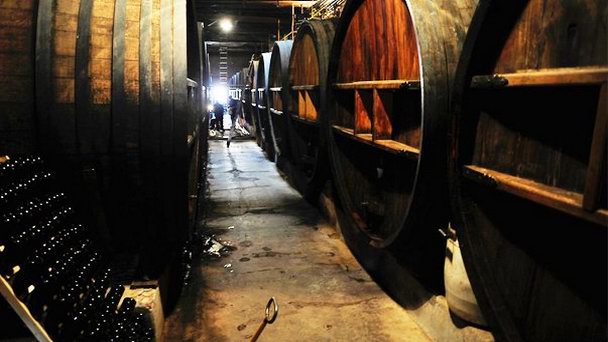 Винные погреба Мендосы в Мендосе