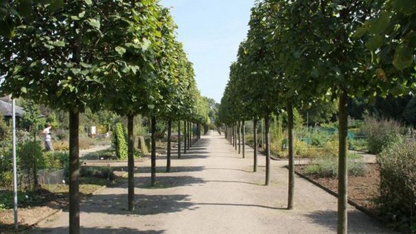 Ботанический сад университета Иоганна Гутенберга в Рейнланд-Пфальце