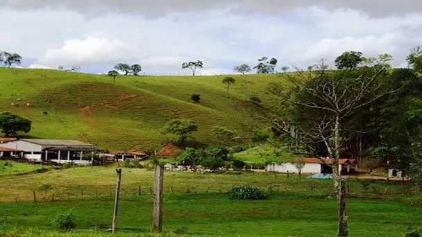 Ферма Bom Jesus в Белеме