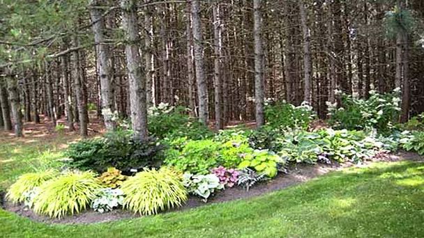 Сады Plant Paradise Country в Онтарио