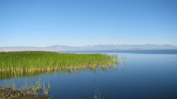 Озеро Ачит в Улан-Баторе