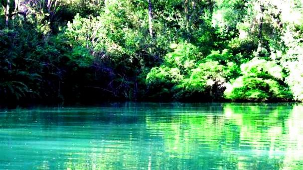 Лагуна Верде в Пуэрто Варас в Пуэрто-Варасе Лагуна Верде в Пуэрто Варас в Пуэрто-Варасе