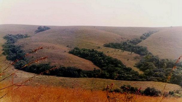 Плато Obudu в Абудже