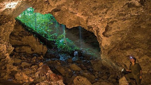 Горный заповедник Анимальере-Макуринн в Кайенне Горный заповедник Анимальере-Макуринн в Кайенне