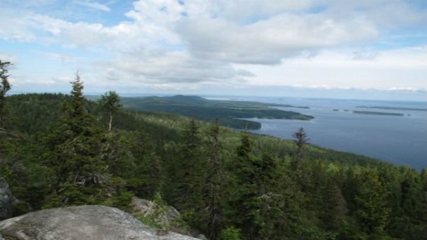 Музей истории парка Коли в Йоэнсуу