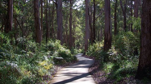 Национальный парк Глостер в Перте Национальный парк Глостер в Перте