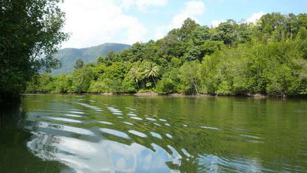 Национальный парк Кучинг Борнео (Калимантан)