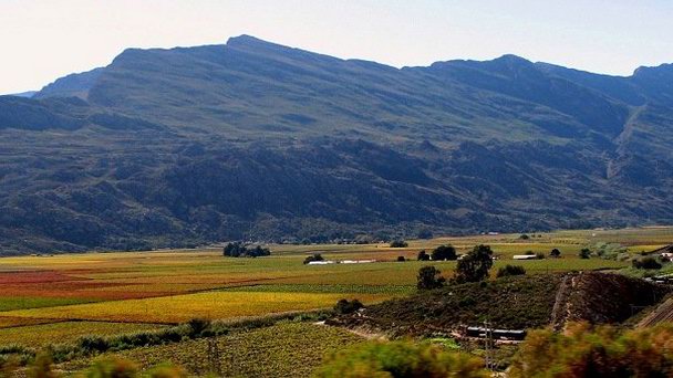 Долина Де Дорнс в Кейптауне