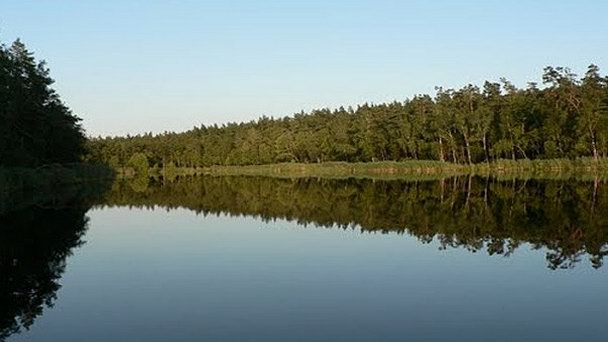 Заповедник Езёро-Чарне в Великопольском воеводстве