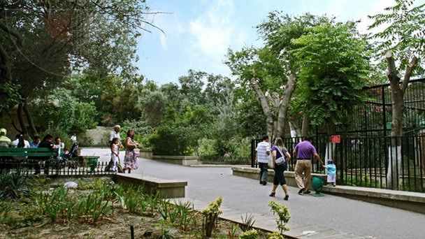 Бакинский зоопарк в Баку