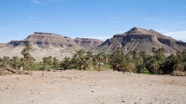 Оазис Альниф в Агадире