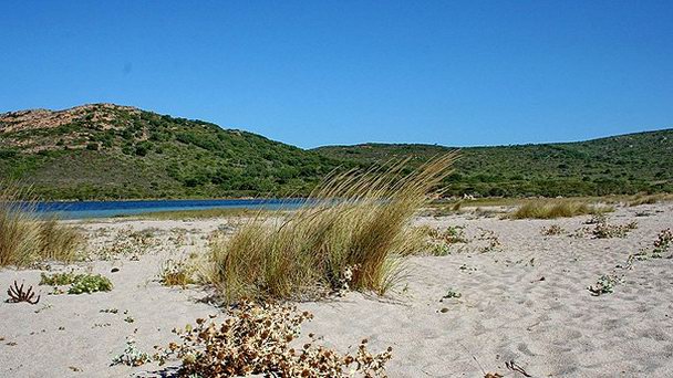 Пляж Балистра на Корсике Пляж Балистра на Корсике
