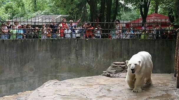 Каунасский зоопарк Каунасский зоопарк