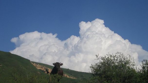 Тургеньское ущелье в Алматы