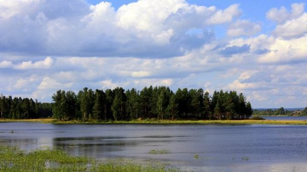 Озеро Сандал в Кондопоге