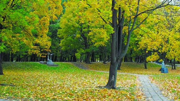 Скульптурный парк Maжвидас» в Клайпеде