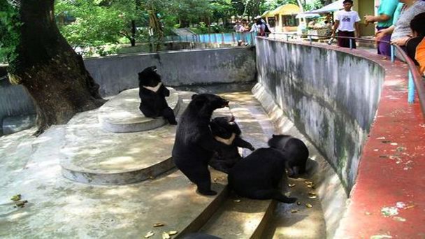 Зоопарк Янгона Зоопарк Янгона