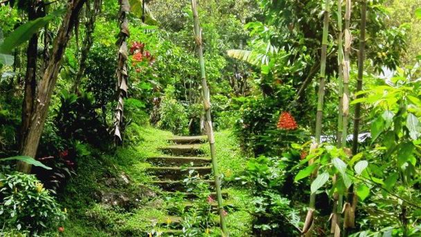 Гора Клатакан на Бали