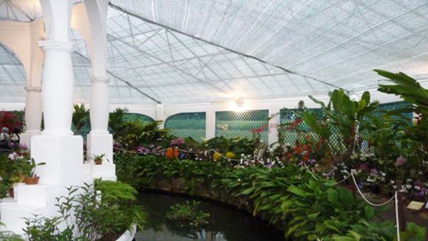 Сад орхидей «Аранда» в Рио-де-Жанейро