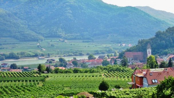 Коммуна Шпиц в Вахау