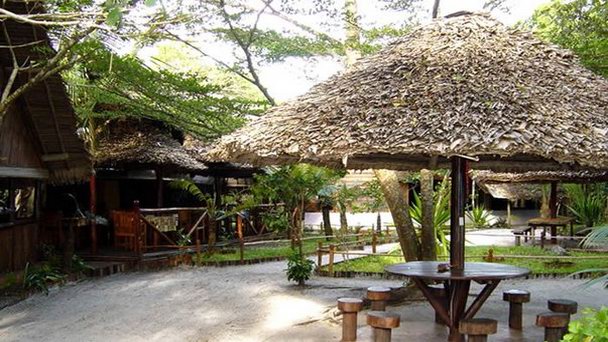 Частный заповедник Пальмариум в Маномбато Частный заповедник Пальмариум в Маномбато