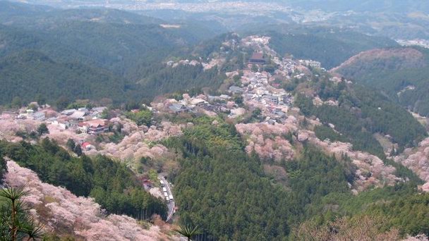 Поселок Йосино в Наре