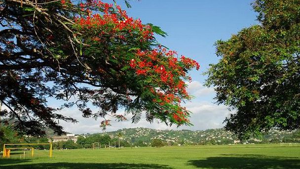 Куин Саванна Парк в Порт-оф-Спейне