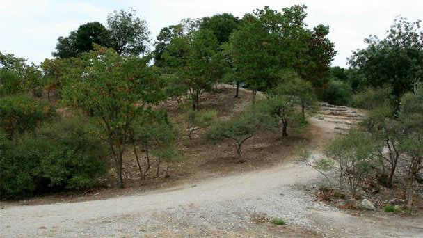 Фермопилы. Холм Колоно в Фессалии