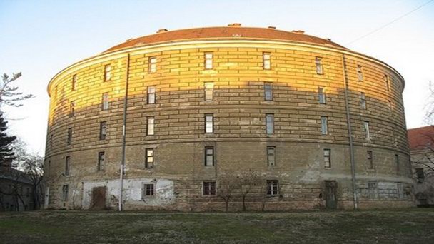 Музей патологоанатомии в Вене