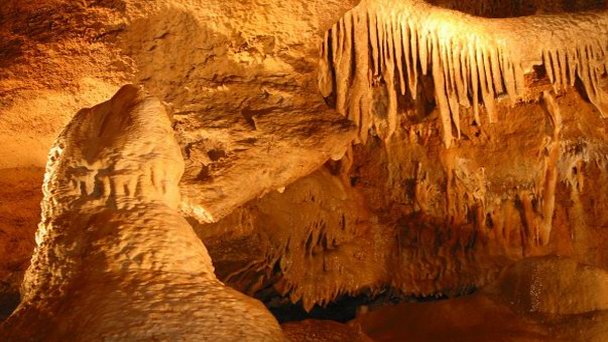 Конепрусские пещеры в Бероуне