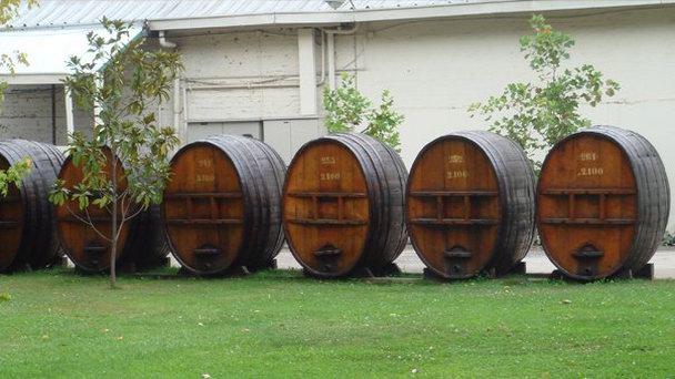 Винодельческое хозяйство Конча-и-Торо в Сантьяго Винодельческое хозяйство Конча-и-Торо в Сантьяго