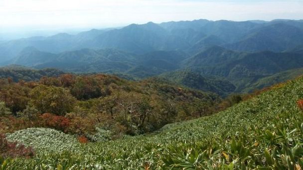 Горный заповедник Сираками-Санти в Тохоку
