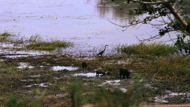 Национальный парк Керан в Сокоде