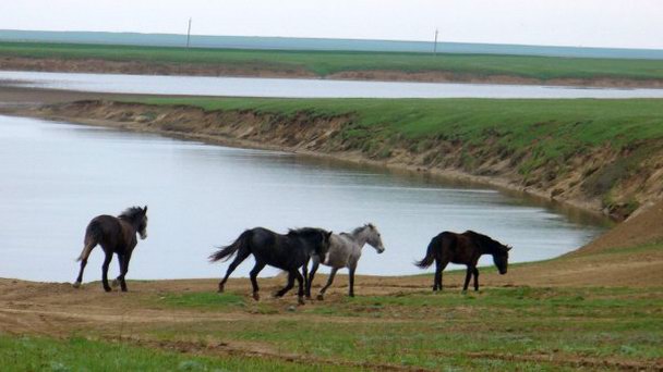 Озеро Маныч-Гудило в Ростове-на-Дону